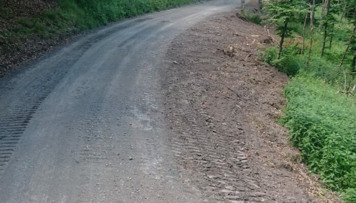 Waldweg mit Planierraupe sauber geschoben